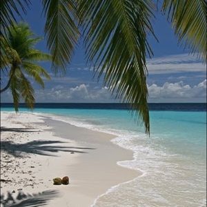 Meet your Posher, Valerie